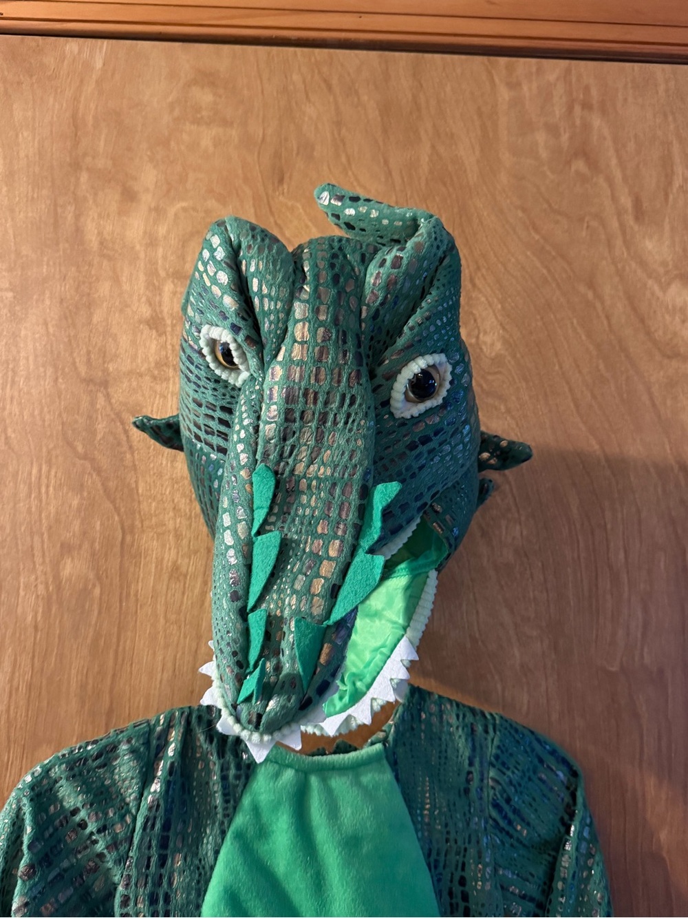 Pottery Barn Kids Green Dragon Halloween Costume 2 Pieces Size 4-6 - Picture 2 of 6